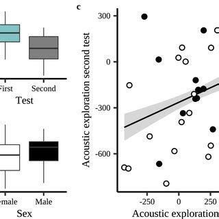 「Echolocation」：記憶と幻影が織りなす音響的探求！